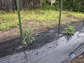 PXL_20210504_232705966