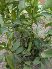 PXL_20250528_225254035