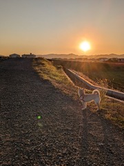 PXL_20251205_222605608