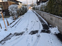 PXL_20250222_225217508