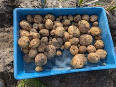 PXL_20250719_230853773