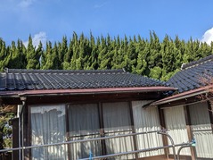 PXL_20230302_010042760