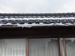 PXL_20250318_231142899.MP