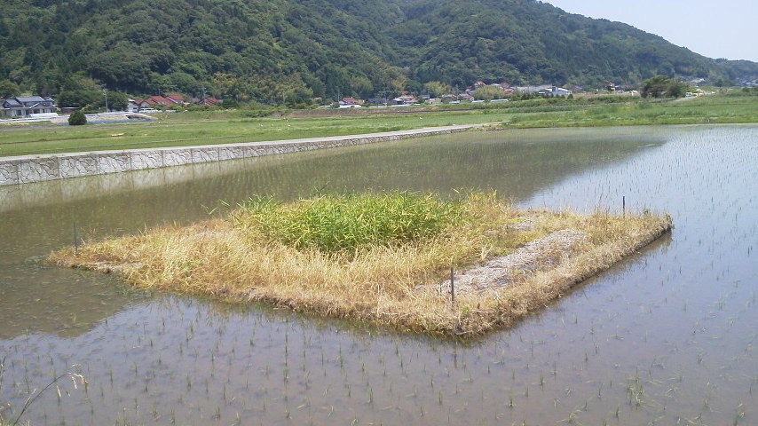 イメージ 2