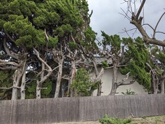 PXL_20230302_060431167