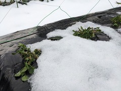 PXL_20230126_070106262