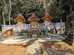 PXL_20230311_012601367