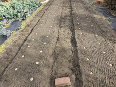 PXL_20220211_054200035.MP