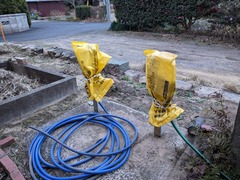 PXL_20250109_080639098