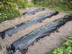 PXL_20230512_090720046