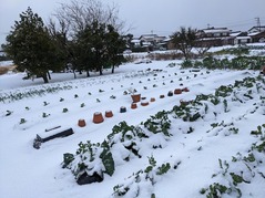 PXL_20211226_070754872