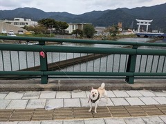 PXL_20230930_031903127