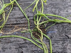 PXL_20231026_225807114