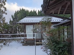 PXL_20211225_231254251