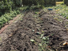 PXL_20220906_234950032