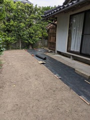 PXL_20250601_225815510