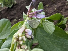 PXL_20220320_001702741.MP