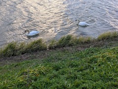 PXL_20251204_223843413.MP