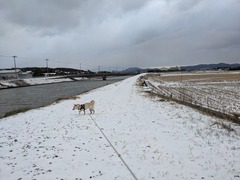 PXL_20250109_225140636