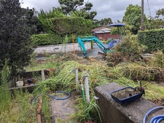 PXL_20241002_005914807