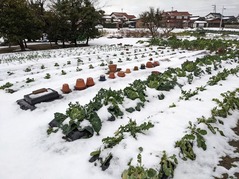 PXL_20211227_065819163