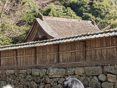 PXL_20230311_012218986.MP