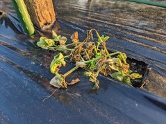 PXL_20230112_074900188