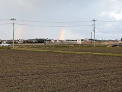 PXL_20231231_231407905