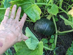 PXL_20230825_210042147.MP