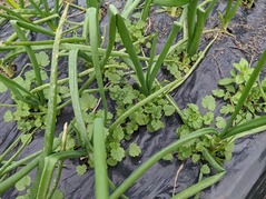 PXL_20211224_055248631