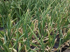 PXL_20220509_004247770