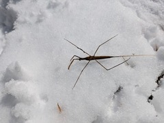 PXL_20250224_014253272