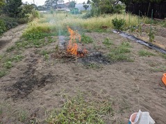 PXL_20230814_044517716.MP