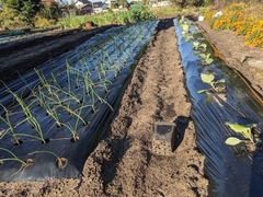 PXL_20241107_233151472