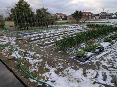 PXL_20250318_222940157