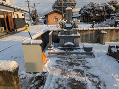 PXL_20250222_224406704