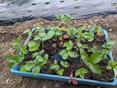 PXL_20230925_230521660