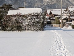 PXL_20260208_070718815