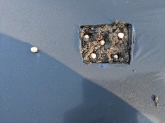 PXL_20221111_234004331.MP