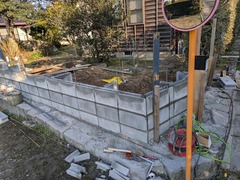 PXL_20250308_230809549