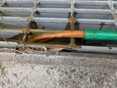 PXL_20250516_051114019.MP