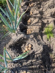 PXL_20250719_230414767