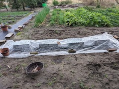 PXL_20211216_231211010