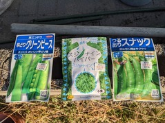 PXL_20221111_233827939.MP