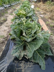 PXL_20250214_011255402