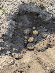 PXL_20250716_223506031