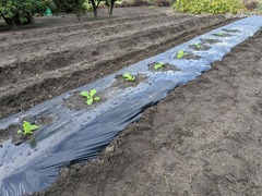 PXL_20251019_232844661