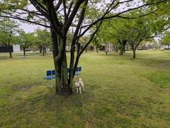 PXL_20250422_215750956 (1)