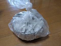 PXL_20240612_034305894