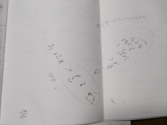 PXL_20250129_104413466.MP